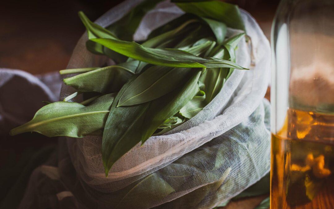Pesto z czosnku niedźwiedziego